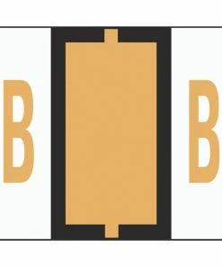 Best Pirce 🧨 Smead BCCR Bar-Style Color Coded Alphabetic Labels, 1-1/4 X 1 Inches, B, Light Orange, Pack Of 500 ⭐