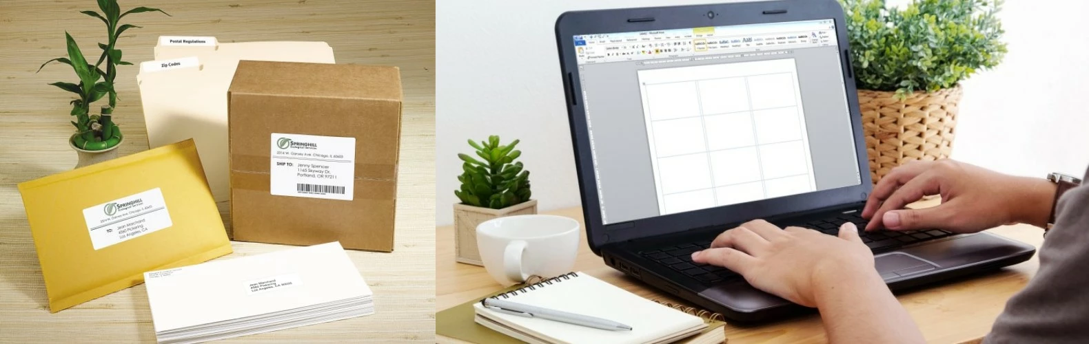 Avery - shop 1 Avery - shop -Avery - shop 未命名 1